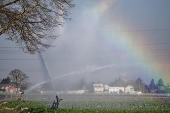 So wird das Wetter in Sachsen zu Ostern - Es ist in vielen Regionen Deutschlands so trocken, dass (wie hier) im nordrhein-westfälischen Dormagen Felder bereits bewässert werden müssen. Auch in Sachsen herrscht in einigen Landstrichen Dürre. Bringt Ostern nun den von vielen Landwirten ersehnten Regen?