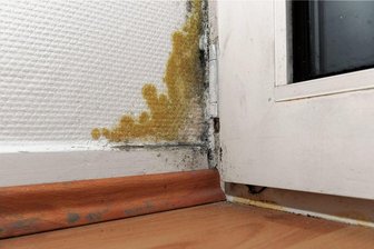 So wird man Schimmelflecken los - An dieser Balkontür hat sich der Schimmel schon ordentlich ausgebreitet. 