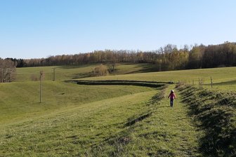 Solarpark auf Weideland in Weißenborn: Investor bleibt hartnäckig - Grün, soweit das Auge reicht: Auf diesem Weideland in Berthelsdorf will ein Investor einen Solarpark bauen.