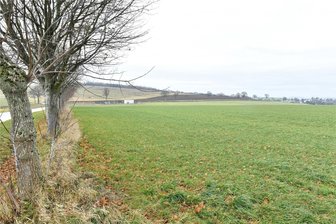 Solarpark nahe Zethau: Was an den Plänen geändert wurde - Bei Zethau ist ein großer Solarpark vorgesehen.