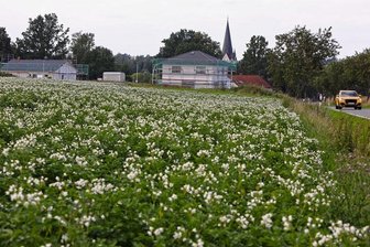 Solarpark: Oberwiera verzichtet auf Einwohnerversammlung - Auf den Feldern neben einem neuen Wohngebiet ist ein Solarpark geplant. Foto: Kretschel/Archiv