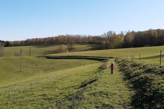 Solarpark-Pläne gescheitert: Weide bleibt Weide in Weißenborn - Grün: Auf diesem Weideland in Berthelsdorf will ein Investor einen Solarpark bauen.