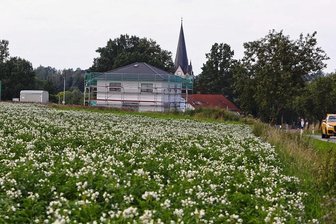Solarpark-Pläne: Kritik aus Oberwiera wird lauter und härter - Dort, wo jetzt noch Kartoffeln angebaut werden, ist ein Solarpark geplant. Rechts ist die Verbindungsstraße zwischen Oberwiera und Neukirchen zu sehen. 