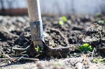 Sonderregel soll Entsorgung arsenbelasteter Erde erleichtern - 