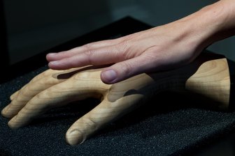 Sonderschau in Zwickau: Schumanns und ihre Krankheiten - Die Hand eines Besuchers und die hölzerne Nachbildung der rechten Hand von Clara Schumann in einer Ausstellung in Leipzig.