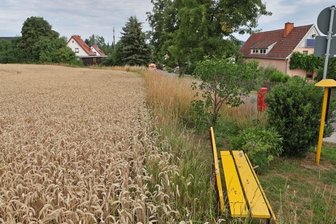 Sondersitzung des Stadtrates wegen zweier Eigenheime - An der Erlbacher Straße in Oberlungwitz sollen zwei neue Eigenheime gebaut werden. Im Stadtrat gab es dazu nochmals eine Debatte.
