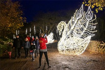 Sonnenlandpark Lichtenau startet mit Lichterzauber in Wintersaison - Mit dem Start in die Wintersaison sind die Betreiber des Sonnenlandparks sehr zufrieden. Hier ein Pfau-Motiv.