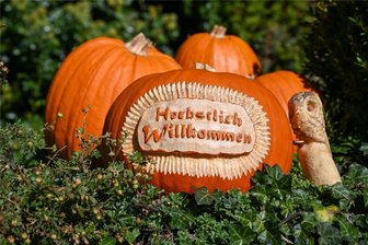 Sonnenlandpark Lichtenau: „Wir machen den Hype um Halloween nicht mit“ - Hunderte Kürbisse zieren das Gelände vom Sonnenlandpark in Lichtenau. Doch auf eine Halloweenparty mit Gruseleffekt verzichten die Betreiber des Freizeitparks bewusst. Trotzdem gibt es ein spezielles Angebot.