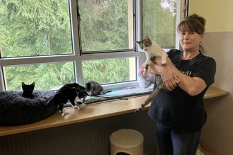 Sorgen eines Tierheims im Erzgebirge: Drohende Geldkürzungen, Kittenflut und Co. - Mit viel Herzblut versorgen die Mitarbeiter rund um die Tierheimchefin Susann Scheibner die vielen herrenlosen Vierbeiner.