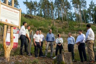 Sparkasse legt Geld in Privatwald an - Königliche Idee: Gina-Maria Jacob, amtierende Sächsische Waldkönigin. im "Sparkassen-Wald" bei Netzschkau. 