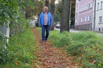 SPD-Stadtrat macht sich für Wegsanierung stark - Gegenwärtig müssten Leute mit Gehhilfe am Teichplatz den Bürgersteig auf der anderen Seite nutzen. Das könnte bedeuten: zweimal mehr die Straße überqueren. Unhaltbare Zustände, sagt Stadtrat Jürgen Hofmann.