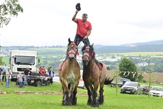 Spektakuläre Reitvorführungen und kraftvolle Pferde beim Bergfest in Markneukirchen - Michael Willer erfüllte sich als Mittfünfziger den Wunsch und ritt eine Ungarische Post.