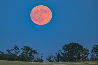 Spektakulärer Erdbeermond: Wo ist er in Chemnitz besonders gut zu sehen? - Der Vollmond im Juni wird auch Erdbeermond genannt. Den gibt es jedes Jahr, aber nur selten so spektakulär wie in diesem.