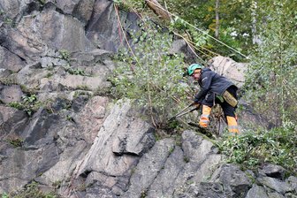 Spezialfirma aus Chemnitz sichert Felsmassiv am Totenstein in Schwarzenberg - Mitarbeiter der Höhensicherung Straß aus Chemnitz sind dabei, wilden Bewuchs zwischen Felsspalten zu entfernen.