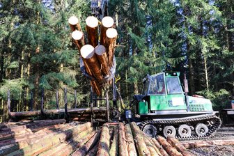 Spezialmaschinen schaffen Zugang zu mehr Licht und Wasser für Bäume im Wald bei Lößnitz - Die Firma Neubert aus Hammerunterwiesenthal hat Spezialtechnik für die Erne von sogenanntem Schwachholz.