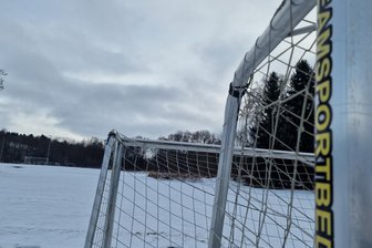 Spielfeld für vogtländische Nachwuchskicker braucht Kur - Das Kleinspielfeld soll saniert werden, Ballfangzäune, gute Bewässerung und Beleuchtung bekommen.