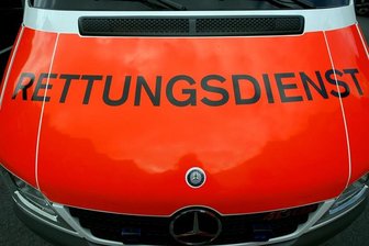 Spinne auf dem Lenkrad führt zu schwerem Unfall -