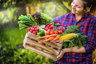 Spitzen-Genusstage starten am Freitag am Handwerkerhof der Plauener Weberhäuser - Die vogtländischen Kleingärtner wollen die Gäste der Genusstage mit selbst angebautem Obst und Gemüse überraschen.
