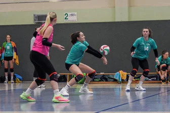 Spitzenreiter ist für den Aufsteiger eine Nummer zu groß: Volleyballerinnen des Chemnitzer VV verlieren deutlich in Erfurt - Die Volleyballerinnen des Chemnitzer VV haben im Spitzenspiel bei Tabellenführer Erfurt eine klare Niederlage kassiert.