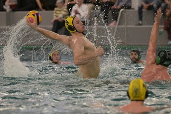Spitzenreiter! Wasserballer des SV Zwickau 04 trotzen in der Regionalliga Ost allen Widrigkeiten - Schon am Samstag behielt der SV Zwickau 04 gegen den SV Halle die Oberhand. In dieser Szene zieht Jonas Reinhart ab.