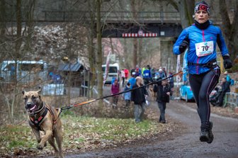 Sport für Hund und Halter - Zweite Auflage des Canicross-Berglaufes - Siegerduo der Frauen: Doreen Baldauf mit Clyde, die beinahe flogen.