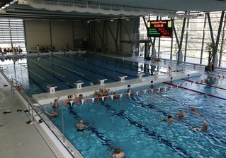 Schwimmnecken