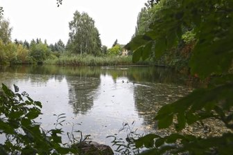 Sportfischer kommen zum Mühlteich - Die Sportfischer aus Waldenburg haben sich als neue Pächter des Mühlteichs im Oberwieraer Ortsteil Niederwiera empfohlen und werden nach einer jüngsten Entscheidung des Gemeinderates ab Anfang 2022 die Bewirtschaftung des Gewässers übernehmen.