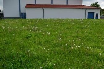 Sportforum soll 40 neue Parkplätze bekommen - Auf dieser Wiese hinter dem Sportforum im Hainichen soll ein weiterer Parkplatz mit 40 Stellflächen entstehen. 