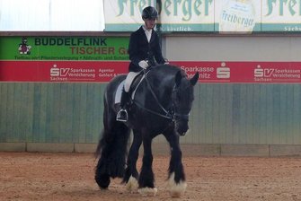 Marco Sohr tritt bei den Special Olympics World Games in Berlin im Reiten an. Wettkampferfahrung hat der 18-Jährige bereits reichlich gesammelt, wie hier beim Breitensporttag an Himmelfahrt in Röhrsdorf.