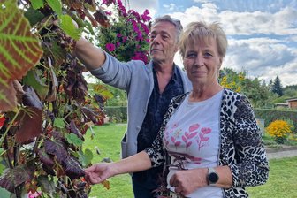 Sportplätze verdrängen Kleingärten im Vogtland: „Es täte mir in der Seele weh, würde man mir meinen Garten nehmen“ - Am Gartenhaus von Uwe und Ulrike Münchow wächst Wein. Werden sie weiter Gemüse anpflanzen, sich im Garten erholen und in das Grundstück investieren können? Die Münchows zweifeln.