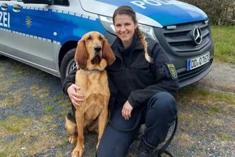 Spürhund Hazel findet vermissten 33-Jährigen - 