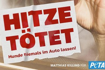 St. Egidien: Strafanzeige gegen Halterin, die bei Hitze Hund im Auto zurückließ - Mit solchen Aktionen warnt Peta, Hunde im Auto zu lassen.