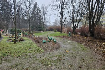 Stadt im Erzgebirge investiert in die Aufwertung des Friedhofs - Auf dem Friedhof im Barbara-Uthmann-Ring ist eine weitere Fläche für Wiesengräber aufgewertet und neu gestaltet worden.
