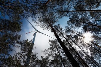 Stadt im Erzgebirge will mehr Landschaftsschutz – gegen Windräder - Ein Windrad in einem Wald – hier in Brandenburg. Auch zwischen Stollberg und Zwönitz sollen Anlagen gebaut werden. Die Stadt Stollberg unterstützt daher einen Vorstoß, Landschaftsschutzgebiete zu erneuern.