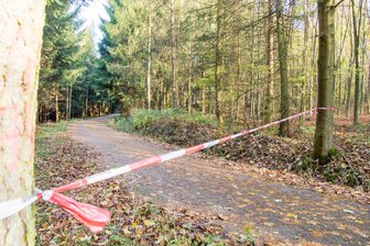 Stadt Marienberg warnt vor Sturmschäden in Wäldern und auf Straßen - Nach dem Sturm sind im Erzgebirge Waldwege gesperrt.