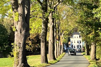 Stadt Oelsnitz will zwei Problemstraßen anpacken - Der untere Abschnitt der Raasdorfer Straße in Oelsnitz zwischen Stephanstraße und Voigtsberger Straße soll 2024 instand gesetzt werden. Neben der Fahrbahnsanierung, der Entwässerung hat dabei auch der Erhalt der Bäume auf der stadteinwärts linken Seite (Foto) hohe Priorität.