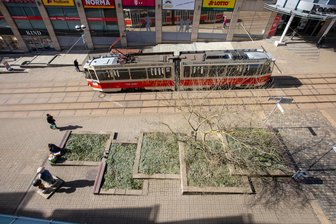 Stadt Plauen stellt Pläne für Umgestaltung der Bahnhofstraße vor: Das sagen Innenstadt-Händler zu dem Vorhaben - Die Pflanzbeete an der Ecke Bahnhofstraße/Rädelstraße in Plauen bieten derzeit jahreszeitbedingt einen eher tristen Anblick. Nach Rathaus-Plänen soll dieser gesamte Bereich umgestaltet werden.