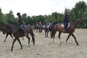 Stadt steht im Zeichen des Pferdesports - Auf dem Reitplatz in Dorfchemnitz ist für die Dressurquadrille trainiert worden. 