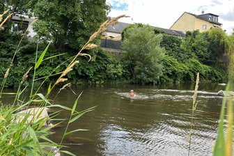 Stadt warnt vor Baden in der Chemnitz und anderen Gewässern - Der eine oder andere Badegast wurde bereits in der Chemnitz gesichtet.