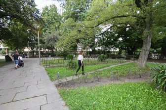 Stadthallenpark: Hecken massiv gekürzt -