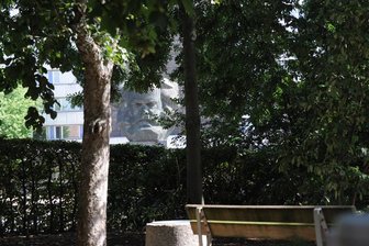 Stadthallenpark: Kritik an Radikalkur -