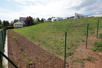 Stadträte sehen Solaranlage skeptisch - An diesem Hang in der Lichtensteiner Albert-Schweitzer Siedlung will ein Grundstücksbesitzer eine Photovoltaik-Anlage aufstellen lassen. Im Stadtrat stößt das auf Bedenken.