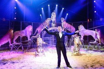 Stadtrat beschließt Wildtierverbot für Zirkusse in Chemnitz -