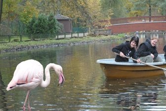 Reinigung des Tierparkteiches