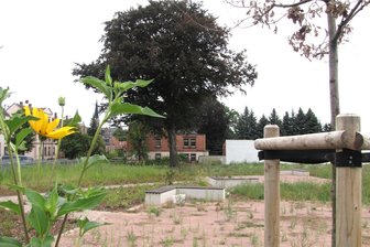 Stadtrat prangert Zustand vom Simöti-Park Geringswalde an - Auf angelegten Wegen und Grünflächen wuchert das Unkraut meterhoch. Der Auftragnehmer muss nachbessern.