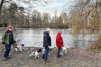 Stadtrat stellt Weichen für neues Fördergebiet „Reichenbach Nord“ - Der Stadtpark Reichenbach lädt in jeder Jahreszeit zum Spazierengehen ein. Klappt es mit dem neuen Fördergebiet, könnten die beiden Teiche entschlammt, der Pavillon saniert und Wege erneuert werden.