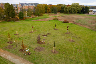 Stadtrat Zwickau: Oberbürgermeisterin Pia Findeiß will getöteter Kinder gedenken - Zwickau könnte noch weitere Gedenkorte bekommen - das Geld kommt von Spendern, die das Gedenken an Opfer des NSU unterstützt haben.
