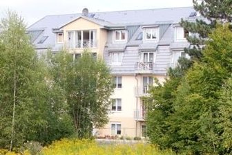"Stadtwald" weicht Häusern - Wildnis am Werdau Brühl soll verschwinden - Die Wildnis am Brühl soll bald verschwinden.