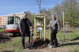 Stadtwerke sponsern Baum des Jahres für Schwarzenberger Stadtteil - Oberbürgermeister Ruben Gehart und Stadtwerke-Chef Sascha Wehrmann an der Roteiche.