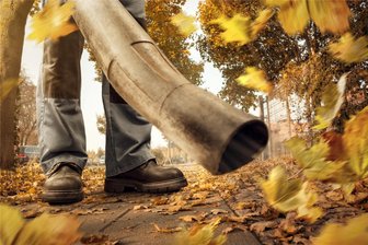 Städtischer Bauhof holt in Plauen auch in diesem Jahr das gesammelte Laub von Straßenbäumen ab - Laub von öffentlichen Straßenbäumen in Plauen, das auf Gehwegen anfällt, können Anlieger dort auf Häufen sammeln und kostenlos abholen lassen. Foto: photoschmidt - stock.adobe.com